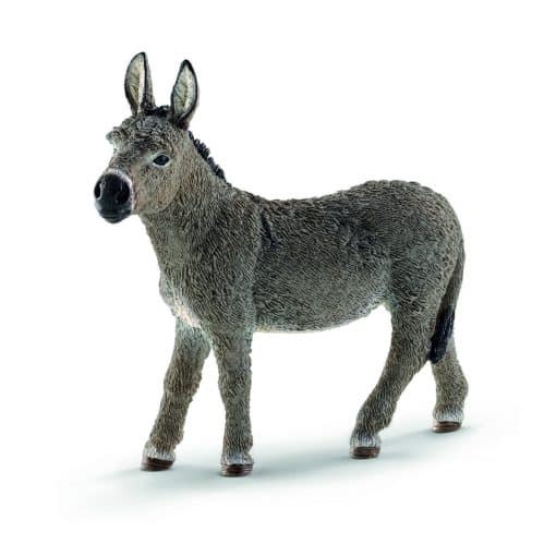 Schleich aasi 13772