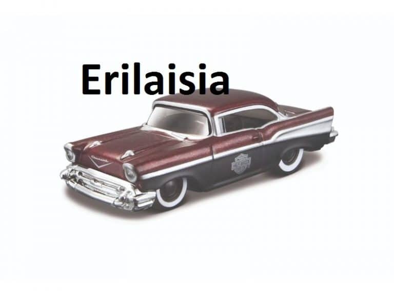 Maisto auto 1:64 Harley Davidson, erilaisia