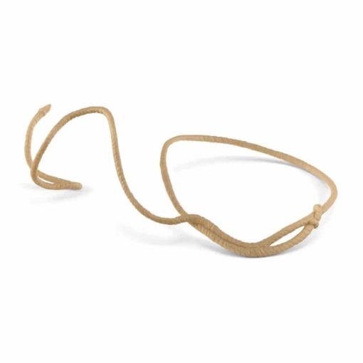 lasso