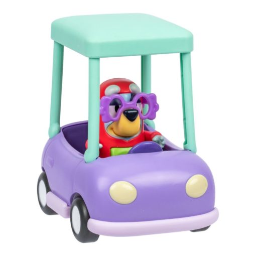 Bluey auto & Janet
