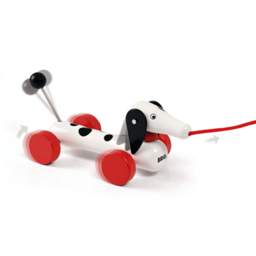 Brio mäyräkoira 60 V 30404 - Image 3
