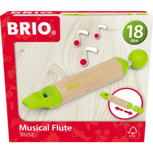 Brio musikaalinen huilu lasten soitin