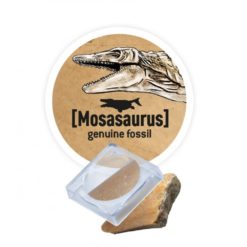 Dino kaivaussetti Brachiosaurus Buki