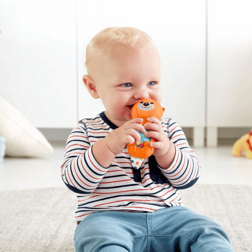 fisher price otter rattle play