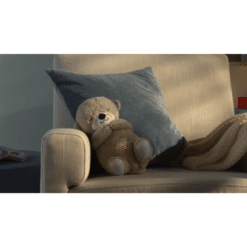 fisher price soothe n snuggle