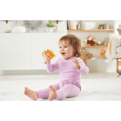 fisher price stack and rattle birdie play