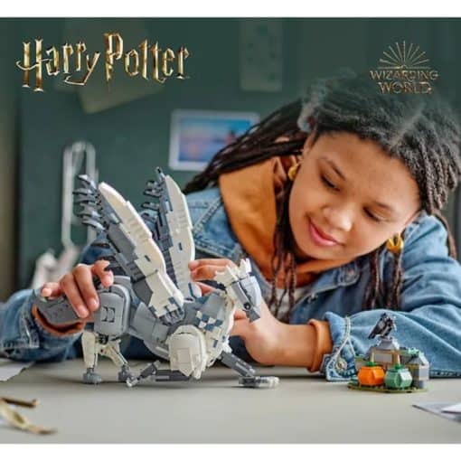 Harry Potter 76427 Hiinokka