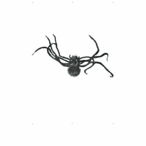 Jätti hämähäkki - Image 2