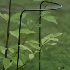 Kasvituki 70 cm 12 Ø perennatuki
