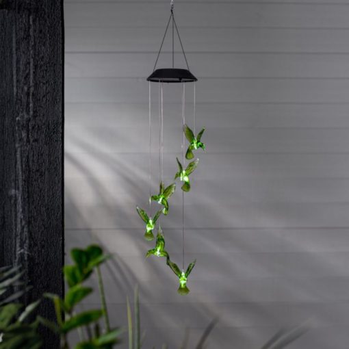 Aurinkokennokoriste Kolibri - Image 2
