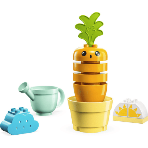 LEGO 10981 carrot contents