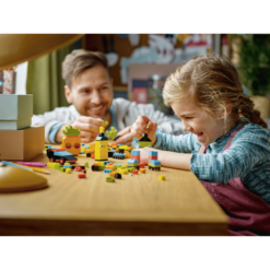 LEGO 11027 classic play 1