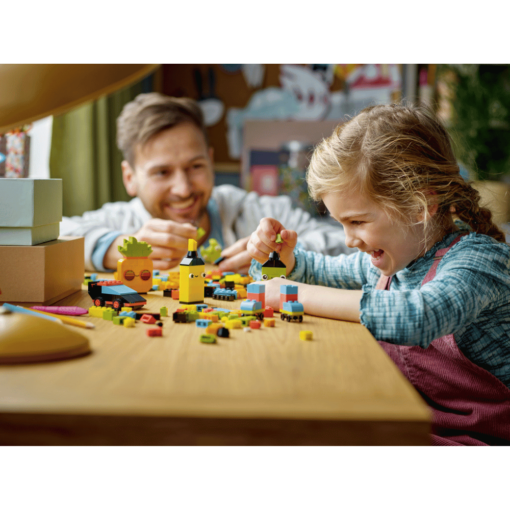 LEGO 11027 classic play 1