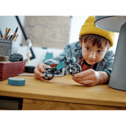 LEGO 31135 playing