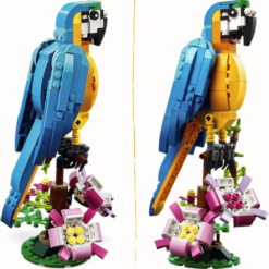 LEGO 31136 parot