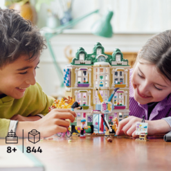 LEGO 41711 pieces