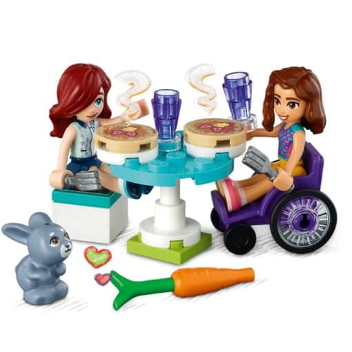 LEGO Friends 41753