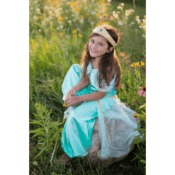 princess jasmine costume