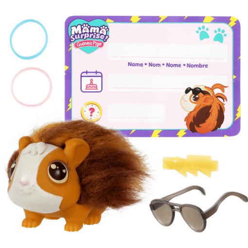 little live pets marsu birth certificate 2