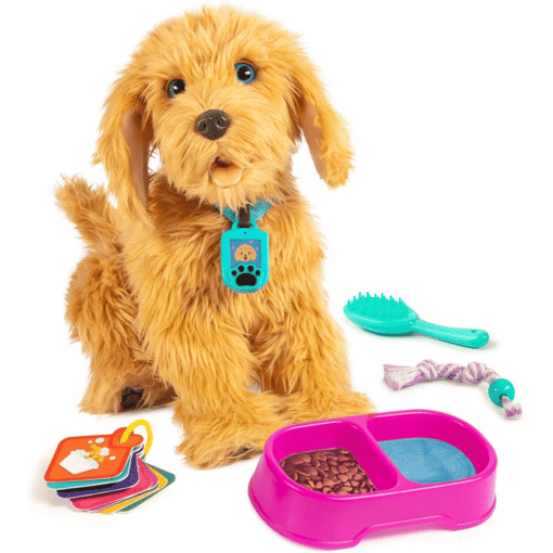 Labradoodle accessories food