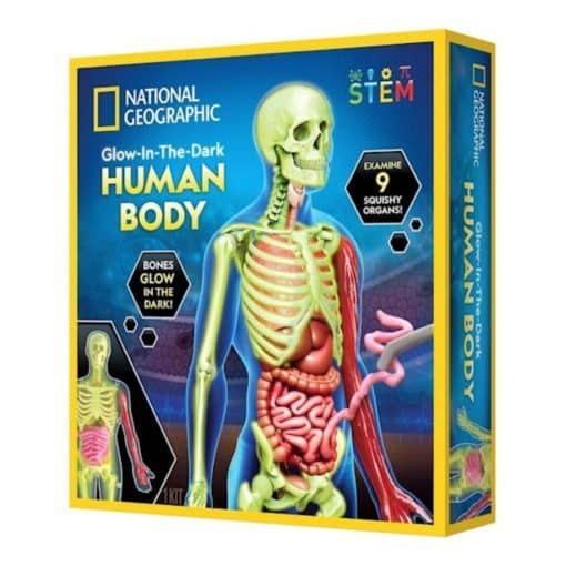 Nat Geo human body glow-in- dark tiedesetti