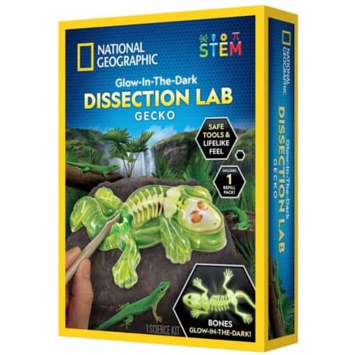 National Geographic Dissection Lab Gecko Glow