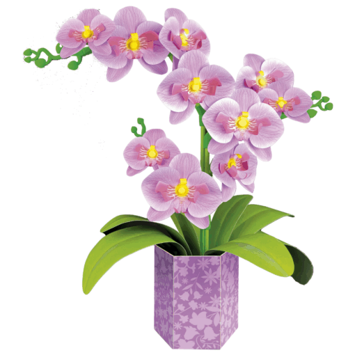 Orkidea Educa Floral Art - Image 3