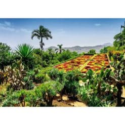 Palapeli 1000 palaa Madeira Botanical Garden Ravensburger