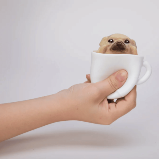 Schylling pup in a cup