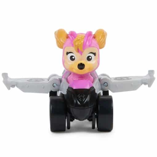 Paw patrol pentu