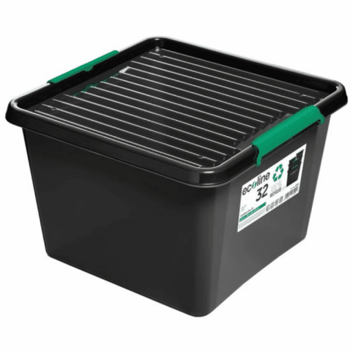 Säilytyslaatikko kannella 32 L Ecoline