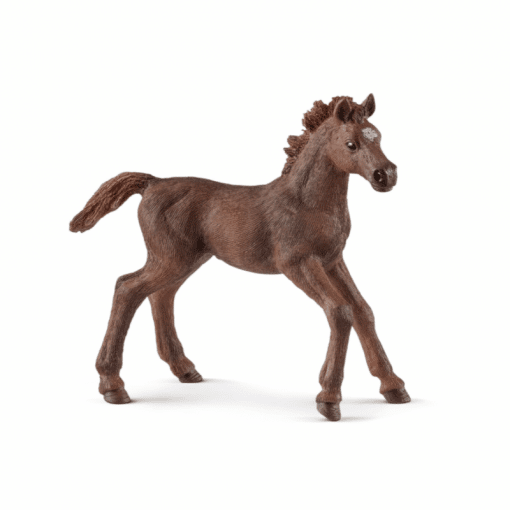 Schleich Englantilainen täysverivarsa 13857