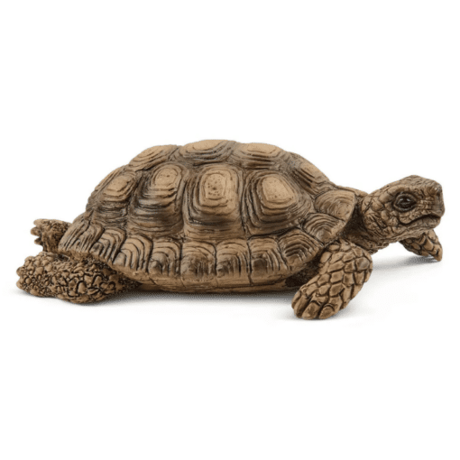 Schleich Jättiläiskilpikonnan koti 42506 - Image 3