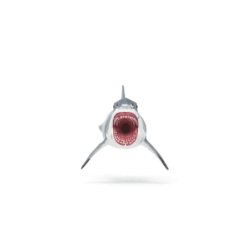 Schleich Megalodon 15055 (3)