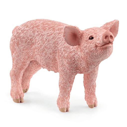 schleich pig