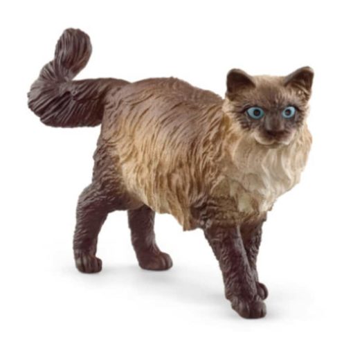 Schleich Ragdoll kissa 13940