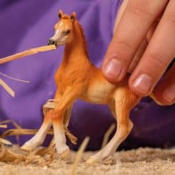 Schleich arabialaisvarsa 13984