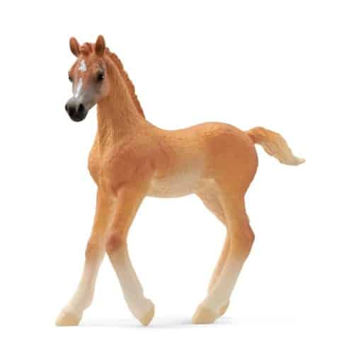 Schleich arabialaisvarsa 13984