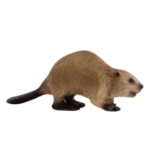 Schleich majava 14855