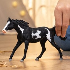 Schleich paint Ruuna 14900 (1)