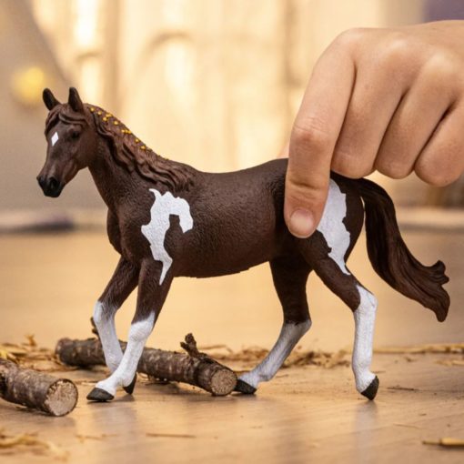 Schleich paint tamma 14901 - Image 2