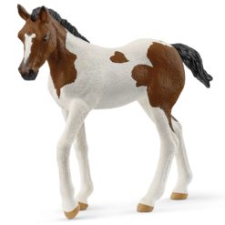 Schleich paint varsa 14899