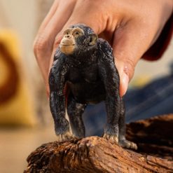 Schleich simpanssi 14883