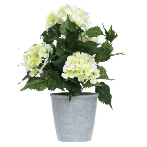 Tekokukka hortensia 42 cm valkoinen ruukussa
