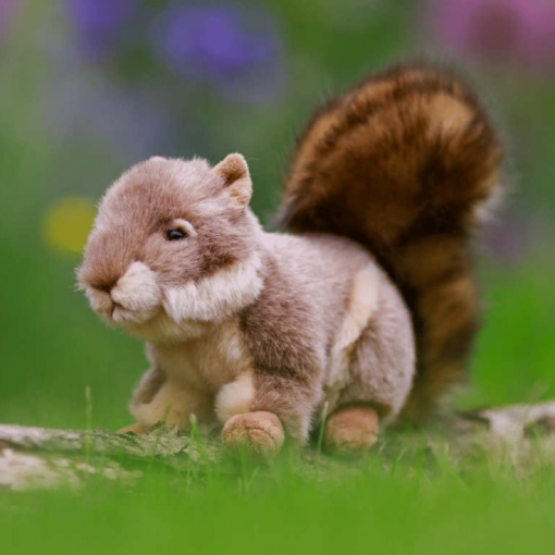 Orava pehmolelu Animigos - Image 2